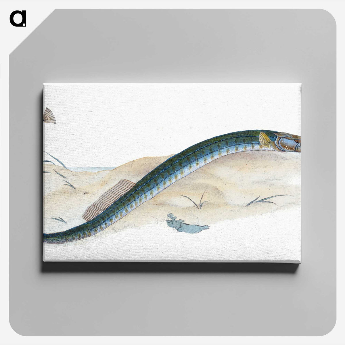 2-2_The-Natural-History-of-British-Fishes_canvas