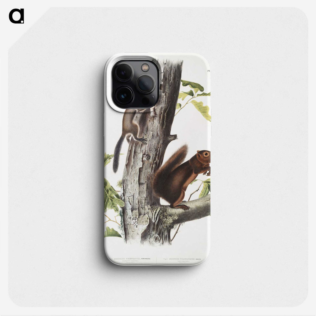 2-2_The-Viviparous-Quadrupeds_phone