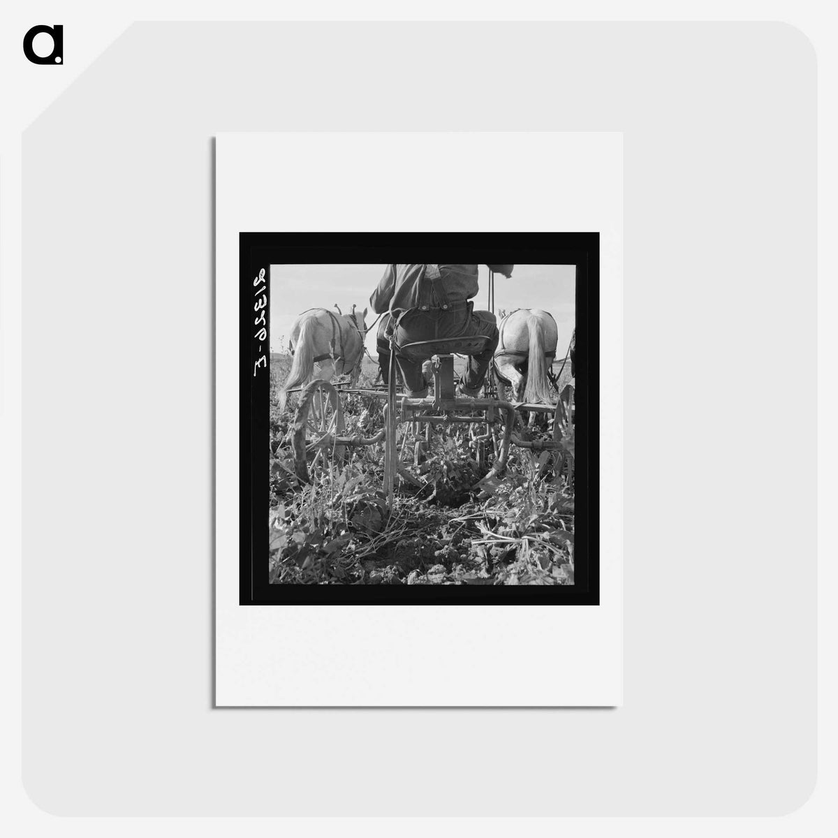 2-30_Dorothea-Lange_hagaki