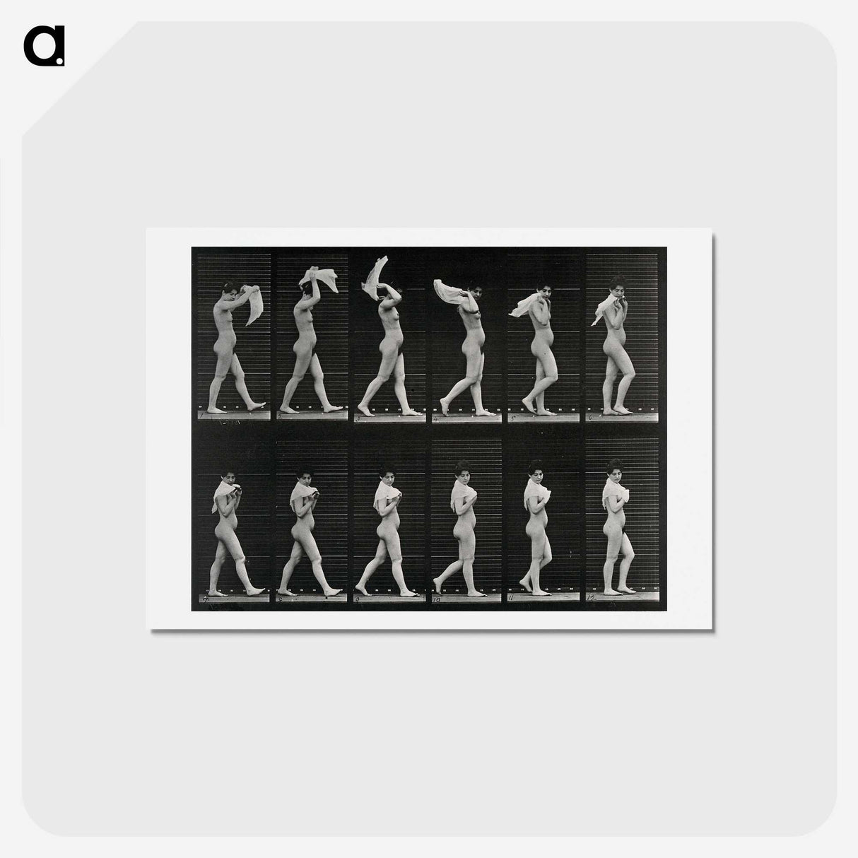 2-30_Eadweard-Muybridge_hagaki