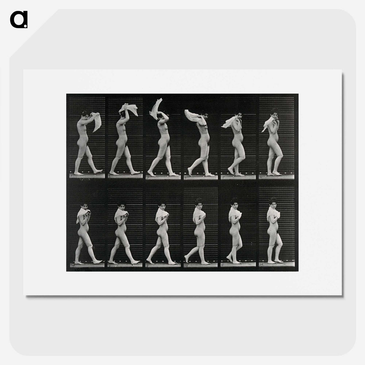 2-30_Eadweard-Muybridge_picture