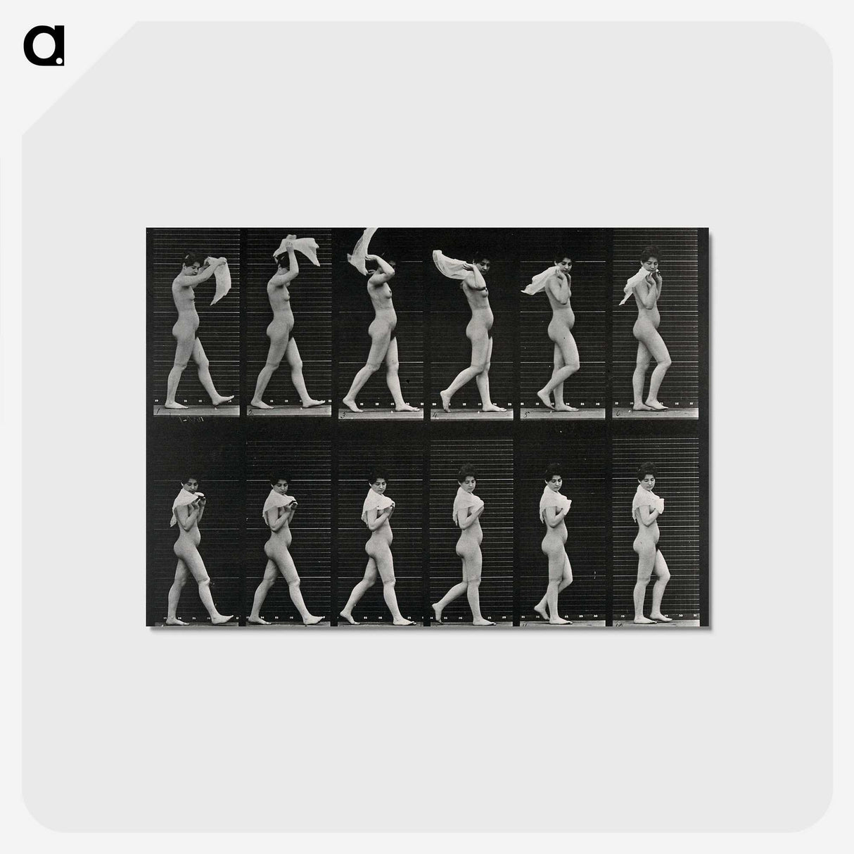 2-30_Eadweard-Muybridge_postcard
