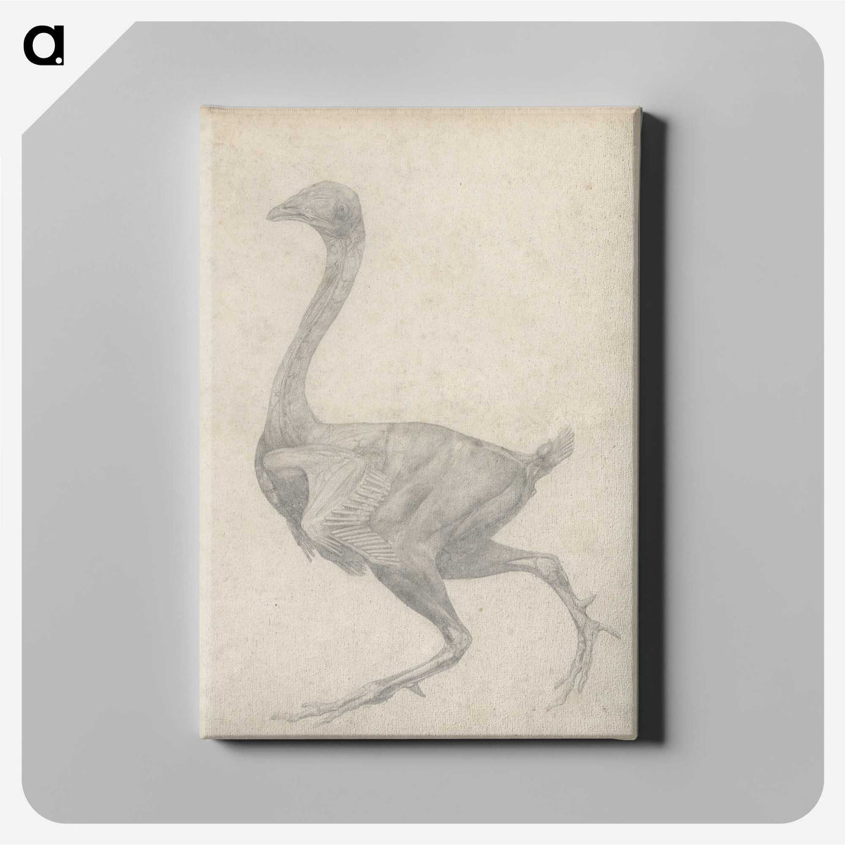 2-30_George-Stubbs_canvas