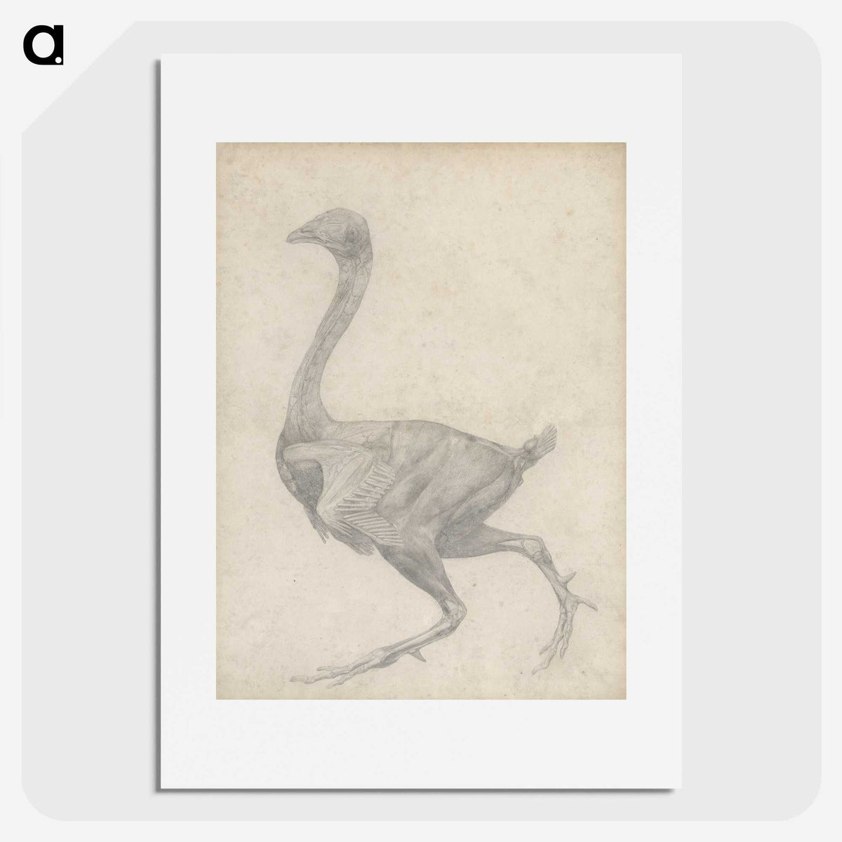 2-30_George-Stubbs_picture
