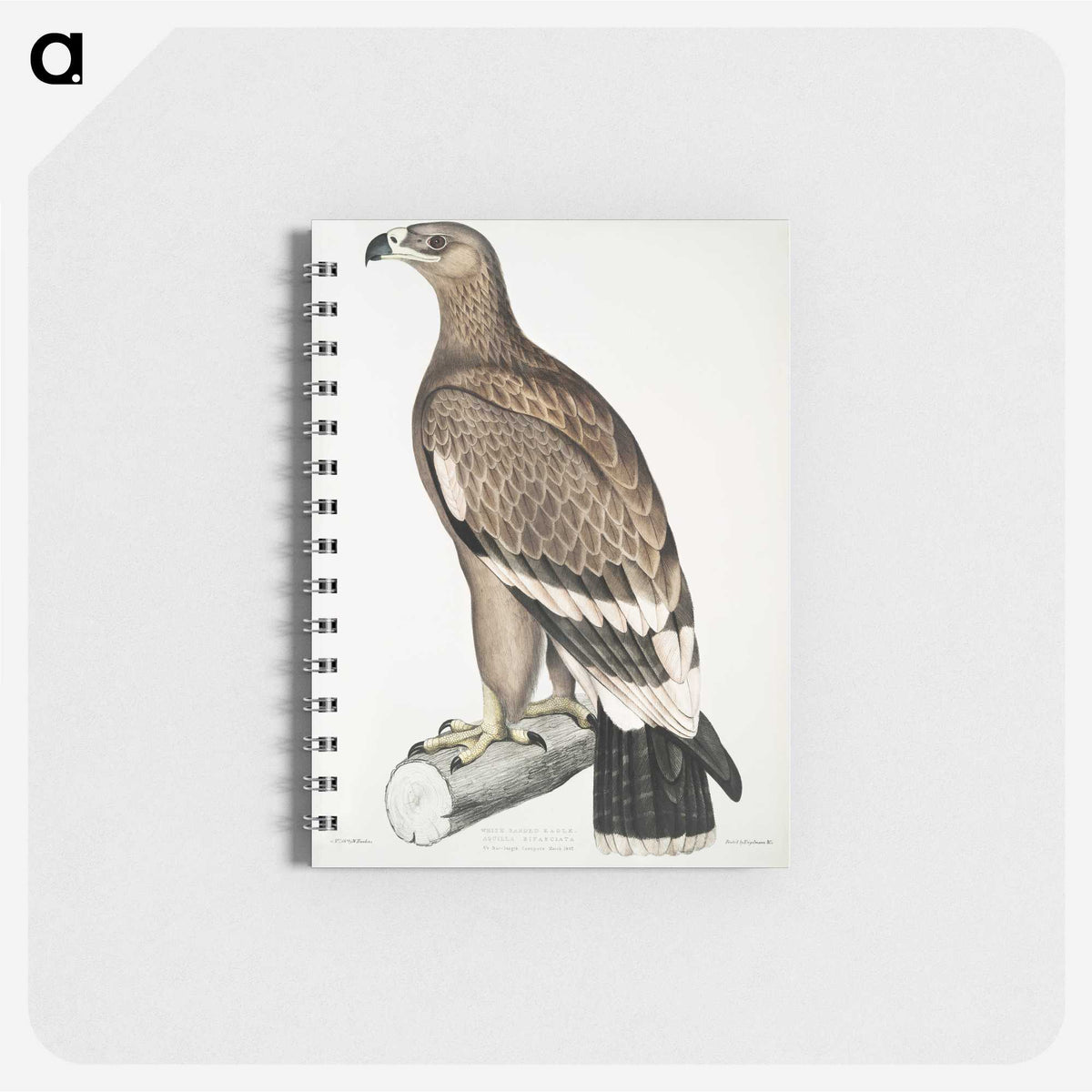 2-30_Indian-Zoology_memo