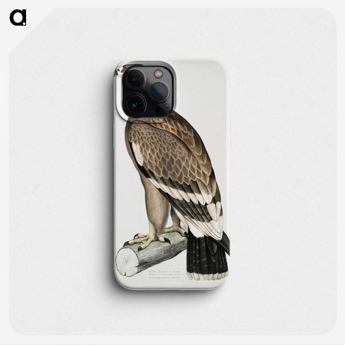 2-30_Indian-Zoology_phone