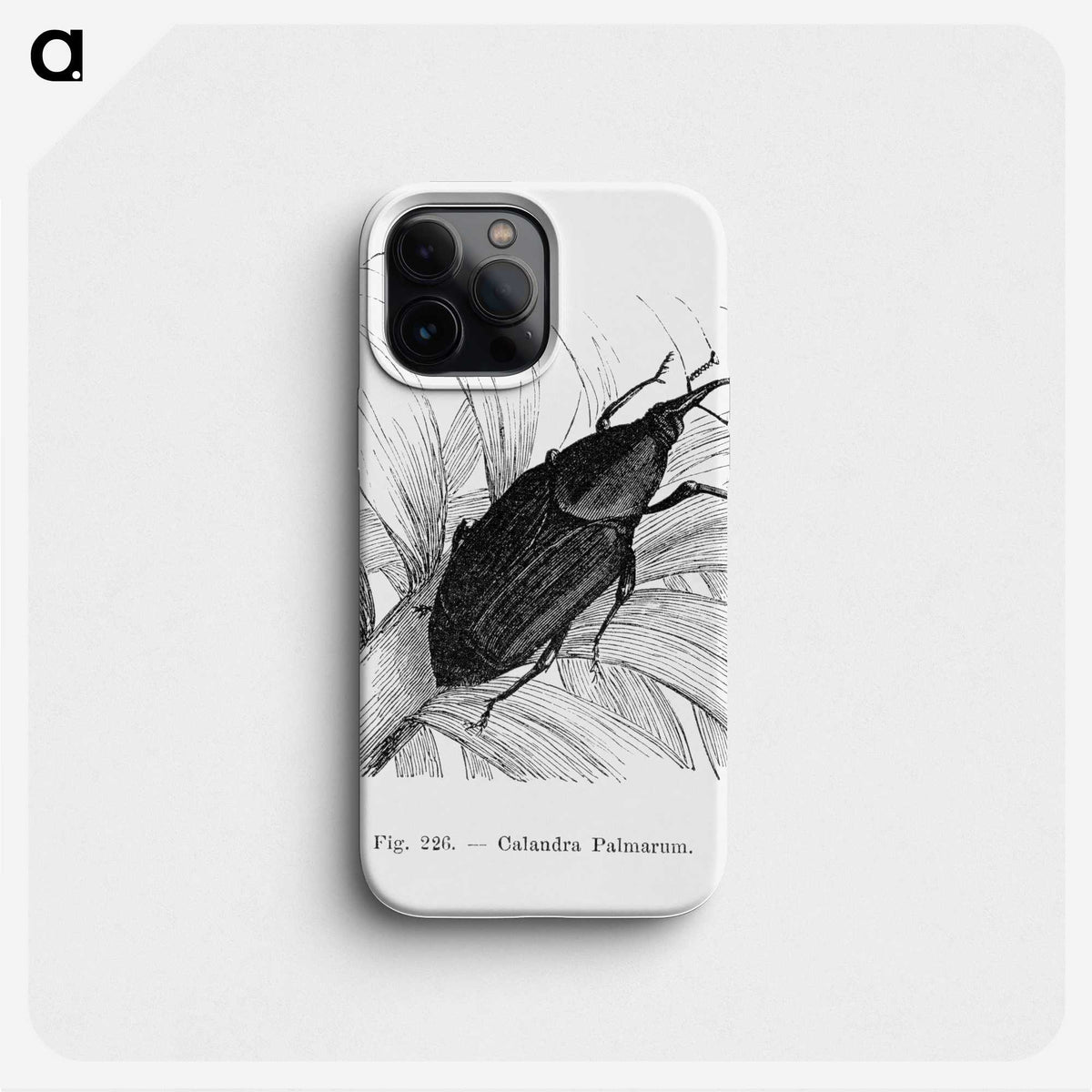2-30_Les-Palmiers-Histoire-Iconographique_phone