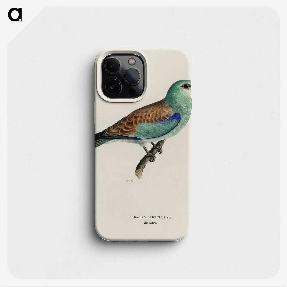 2-30_Magnus-von-Wright_phone