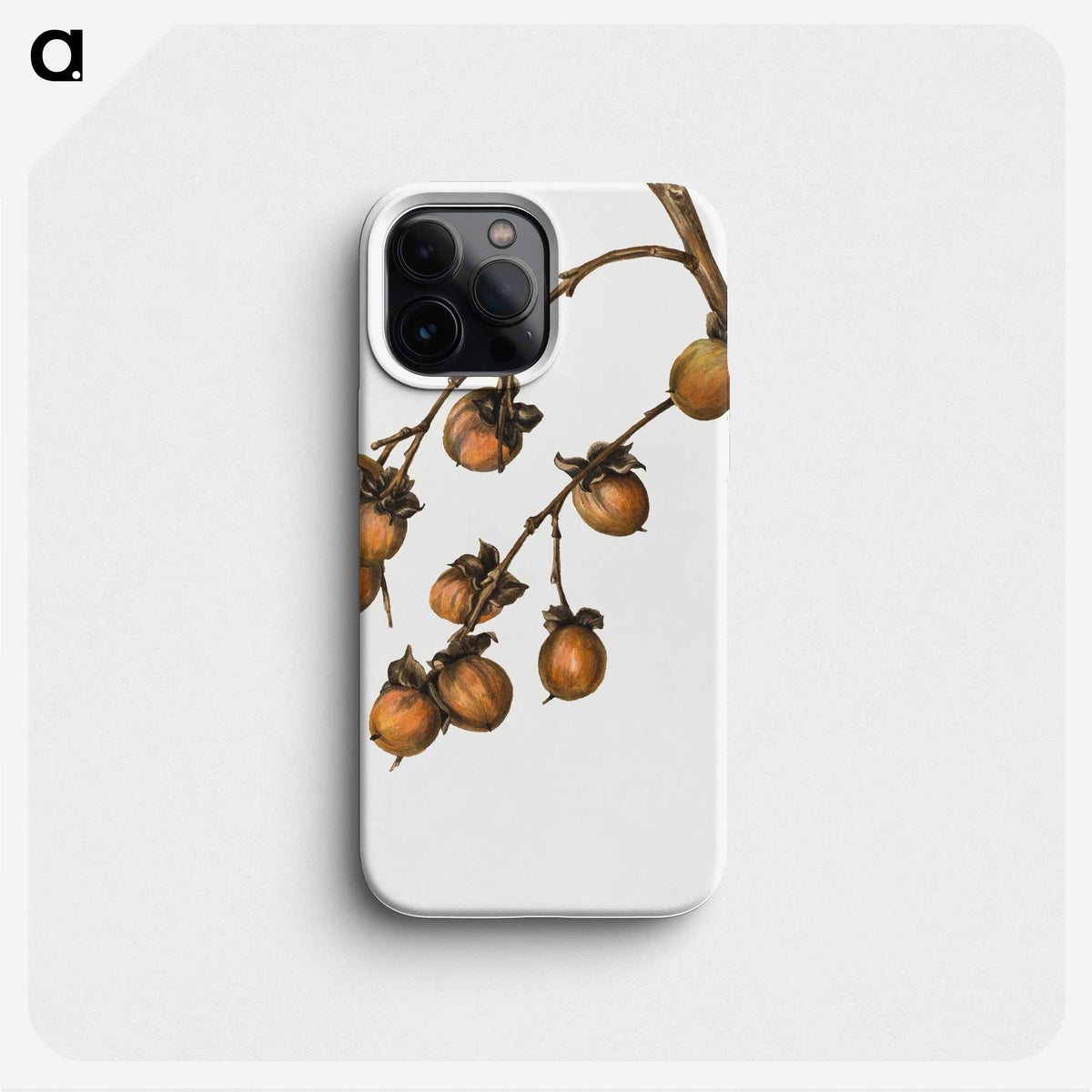 2-30_Mary-Vaux-Walcott_phone
