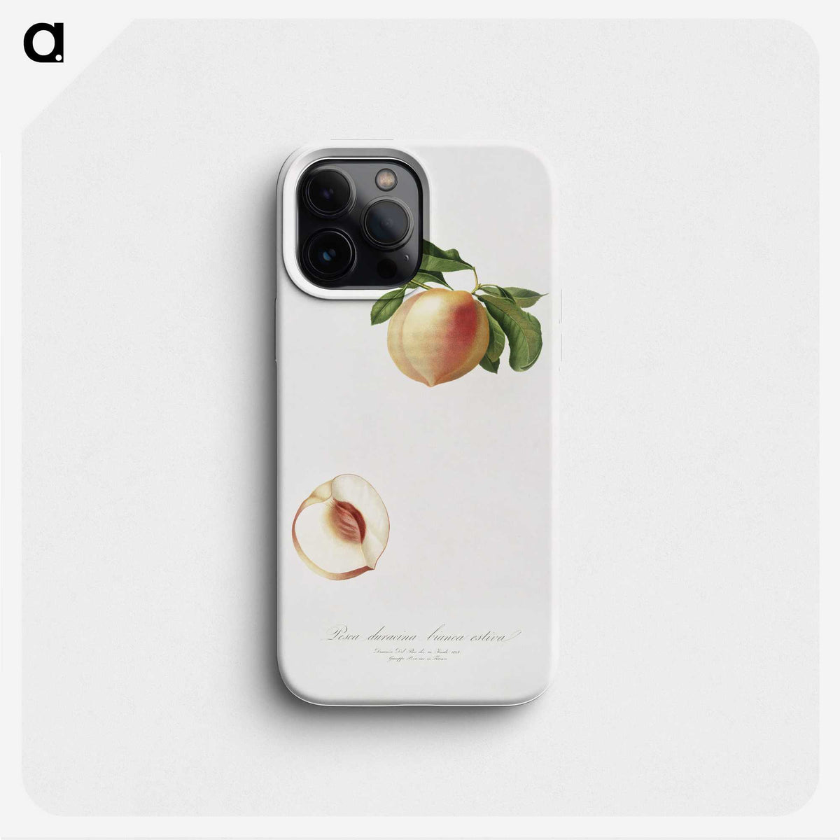 2-30_Pomona-Italiana_phone