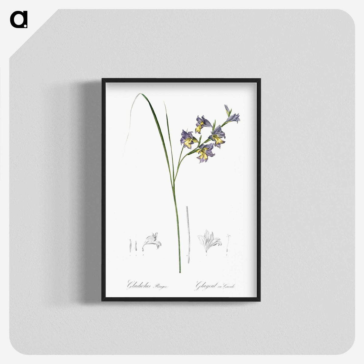 2-30_The-Lilies_blk-crop