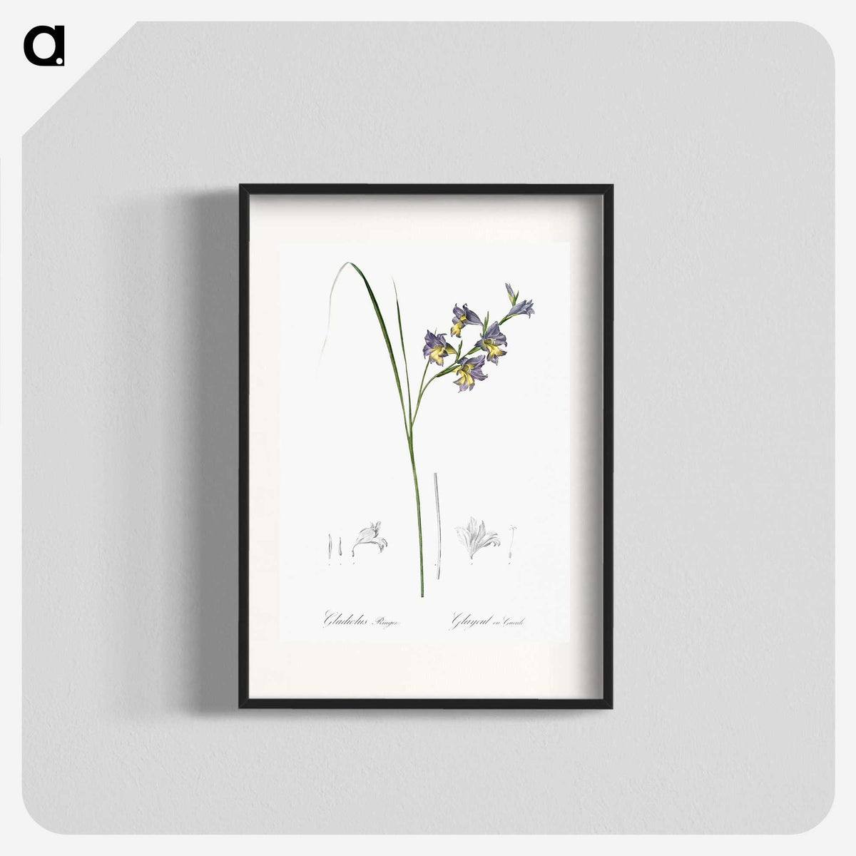 2-30_The-Lilies_blk