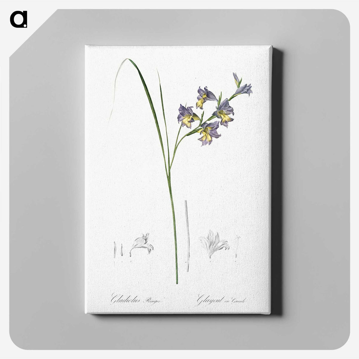 2-30_The-Lilies_canvas