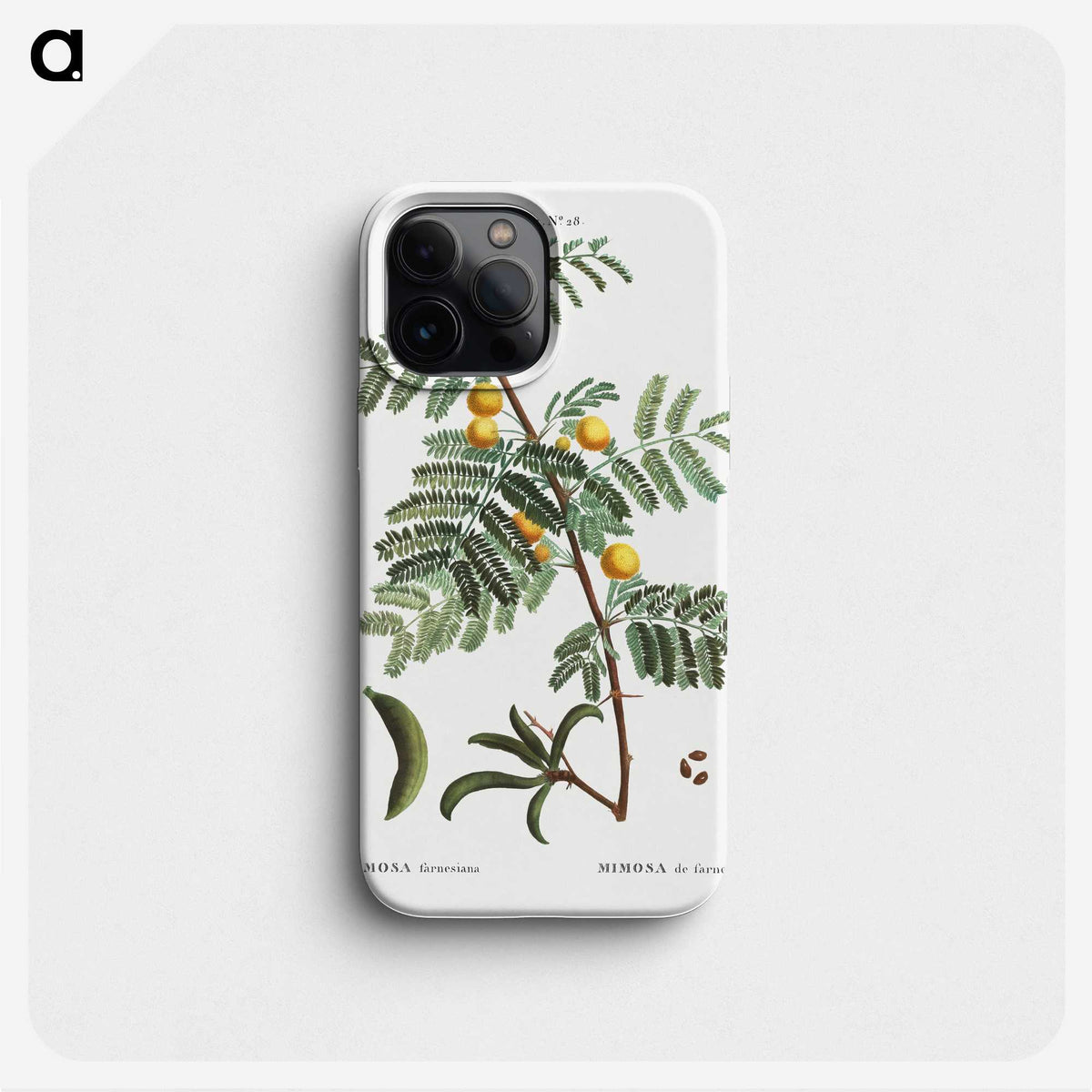 2-30_Treatise-on-Trees-and-Shrubs_phone
