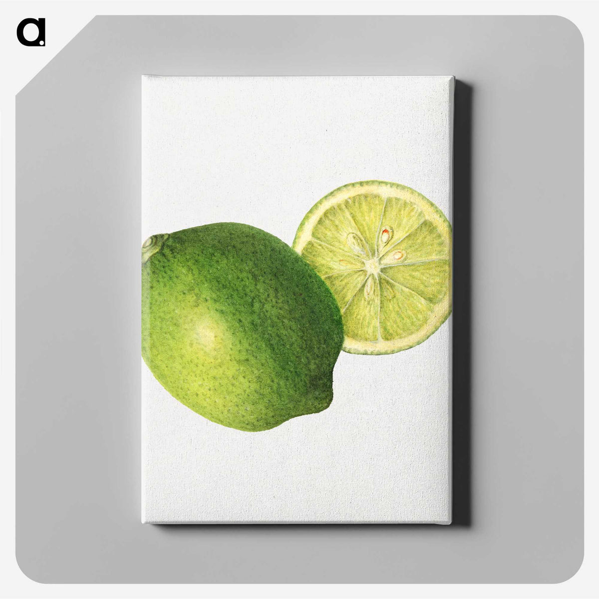 2-30_USDA-Watercolor-Fruit-Painting-Collection_canvas