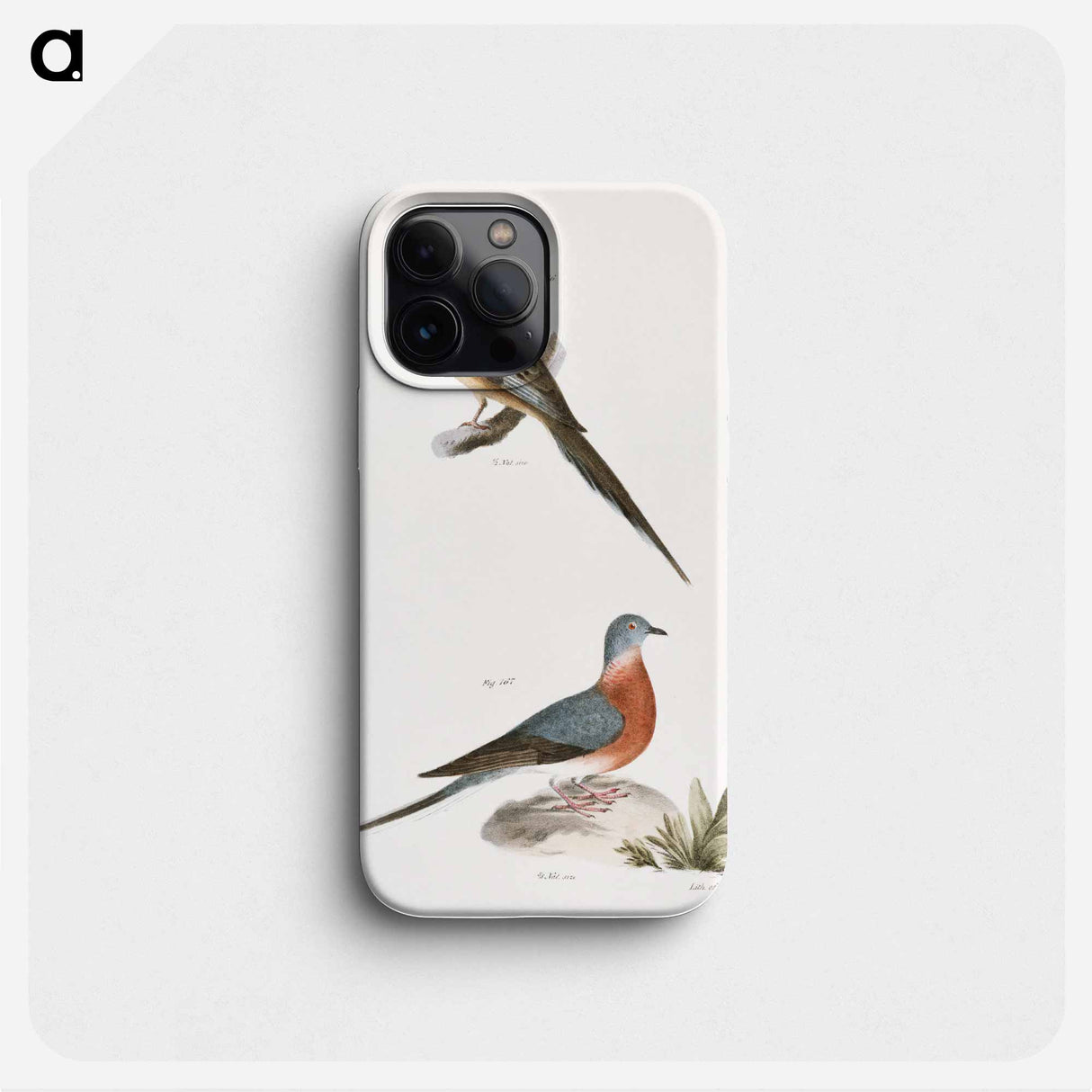 Carolina Turtle Dove (Ectopistes carolinensis) Wild Pigeon (Ectopistes migratoria) - ニューヨークの動物学 Phone Case.