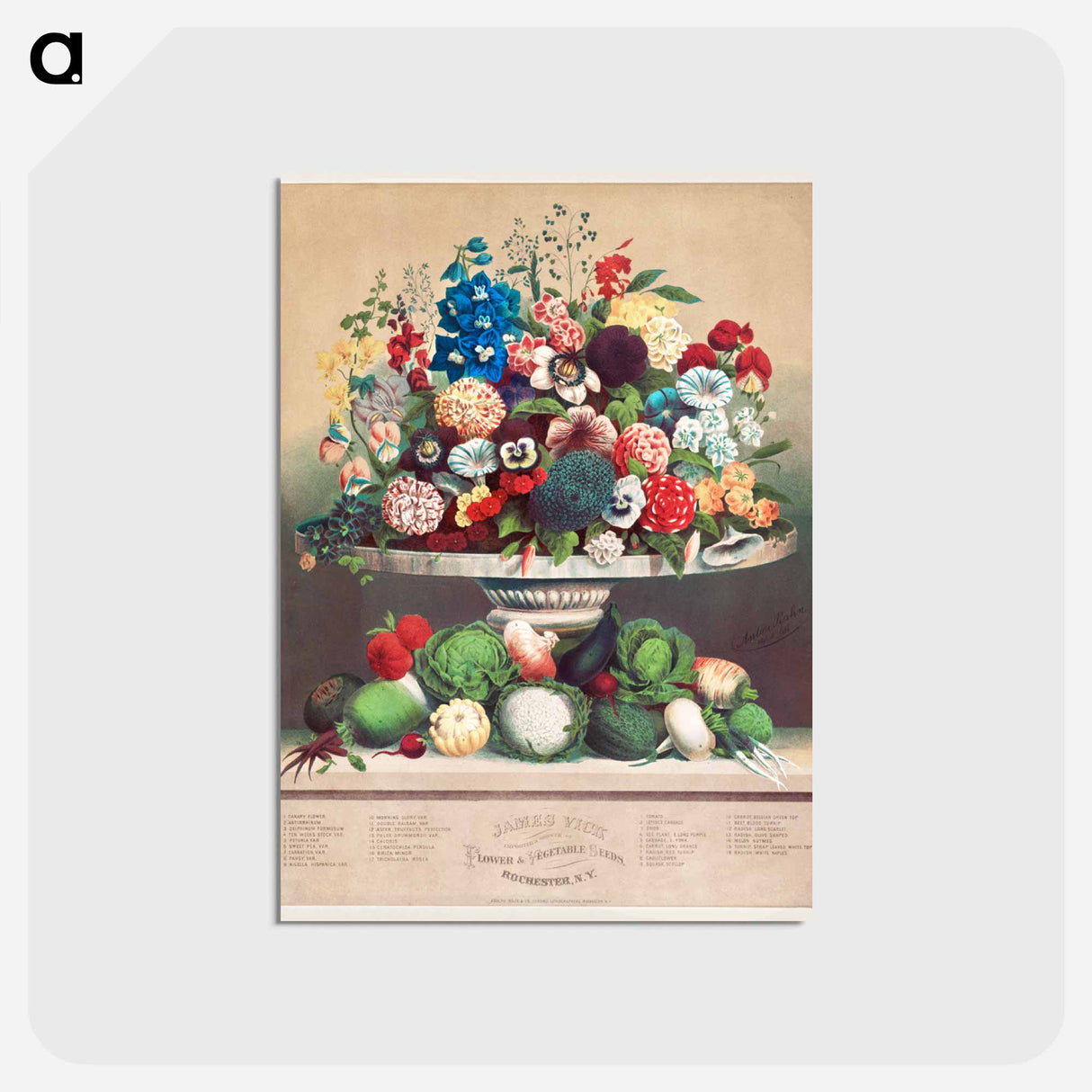 アートポストカード-Flowers and Vegetables
- クリーブランド美術館 Postcard.