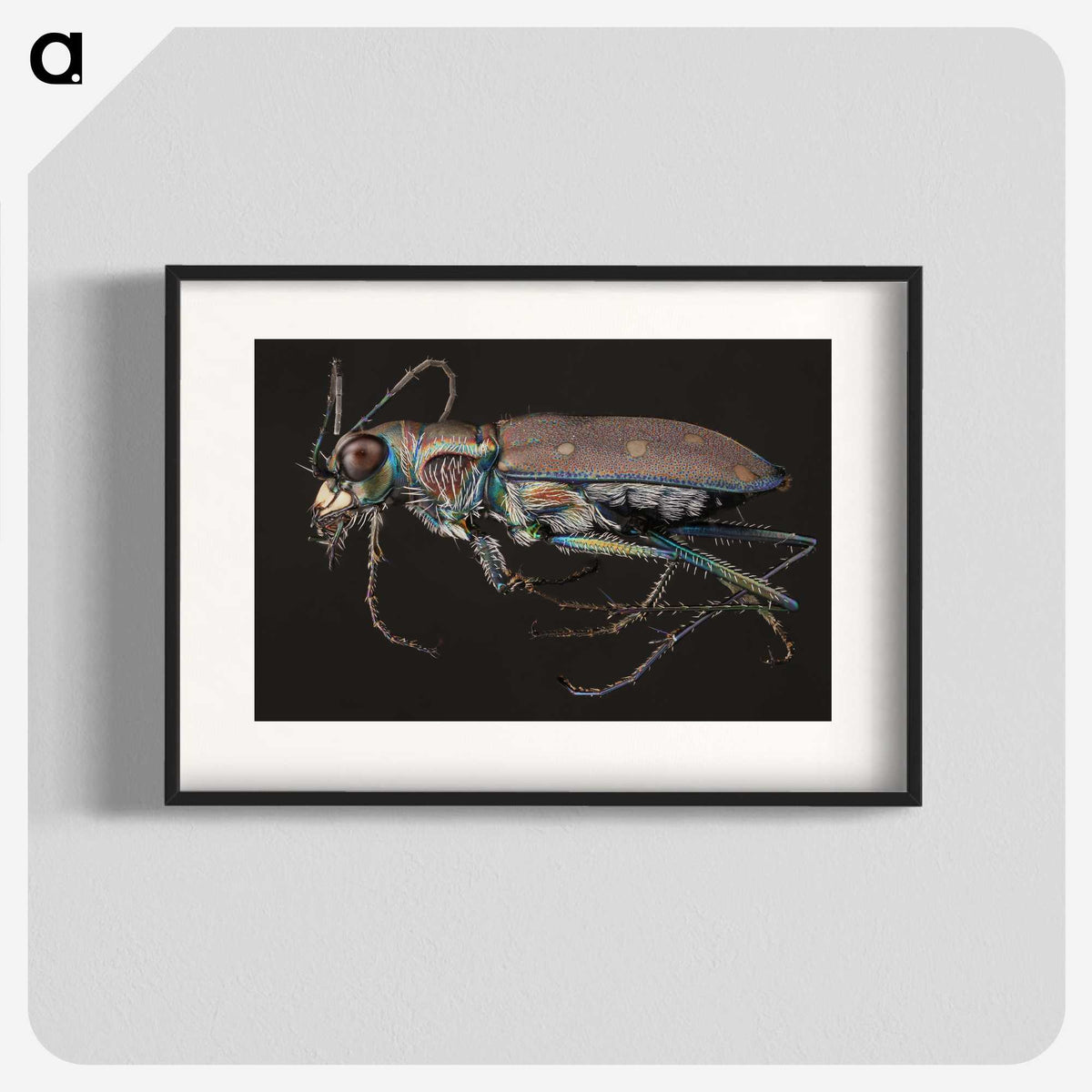 2-31_Insects-Unlocked-Project_blk