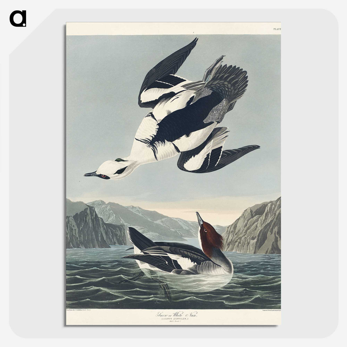 2-31_John-James-Audubon_picture-crop
