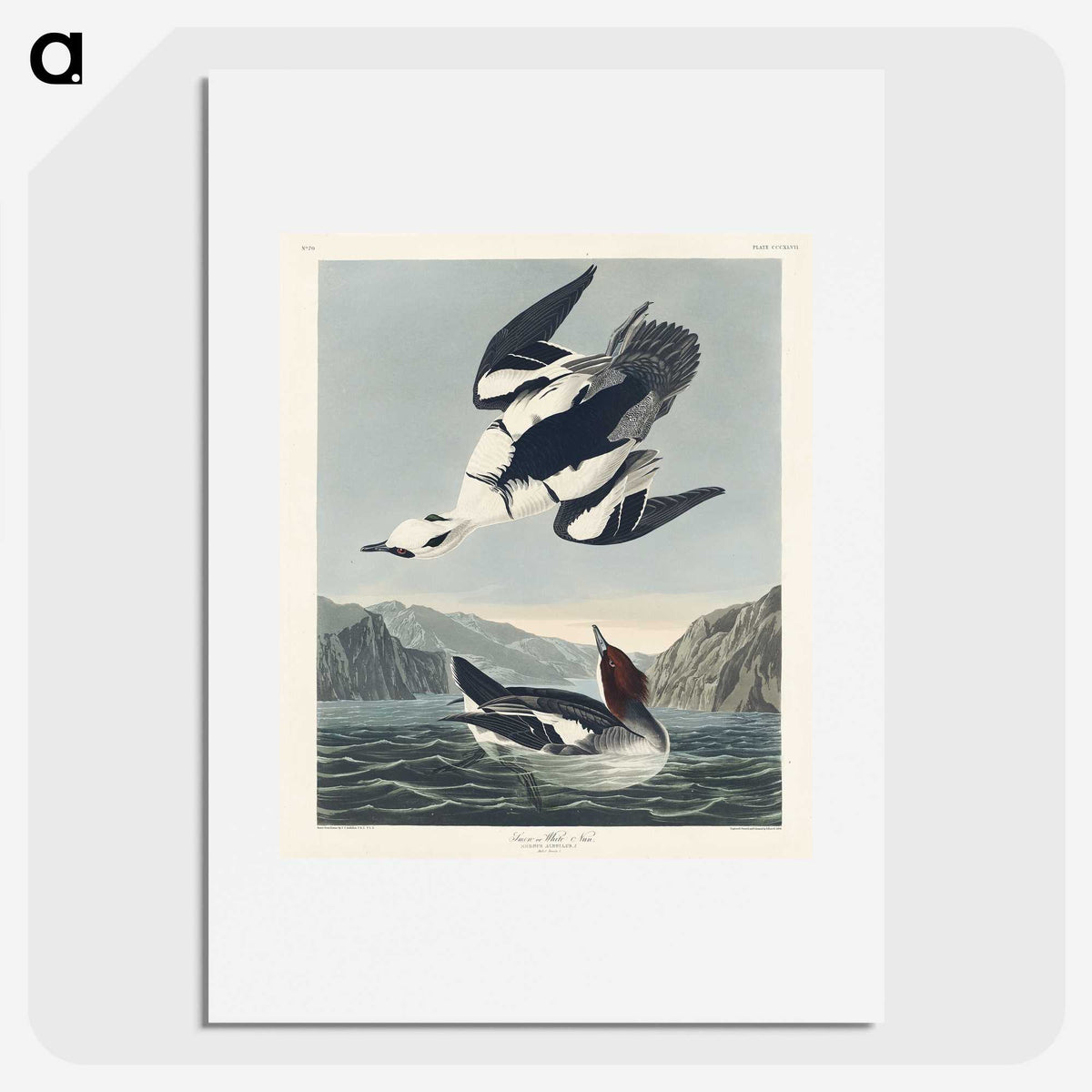 2-31_John-James-Audubon_picture