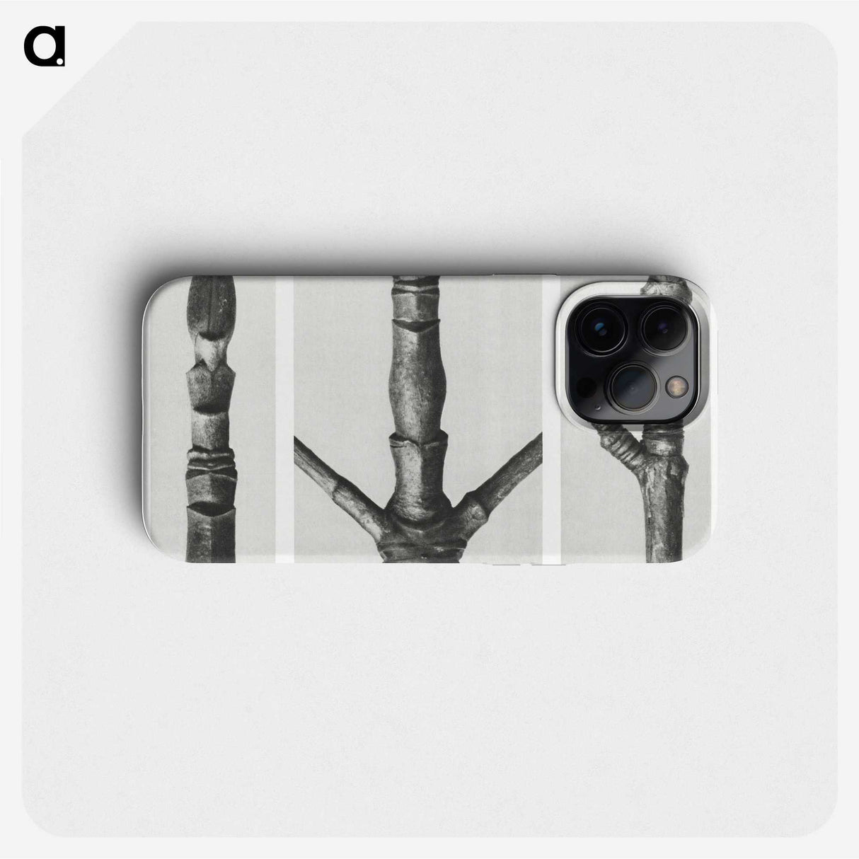 2-31_Karl-Blossfeldt_phone