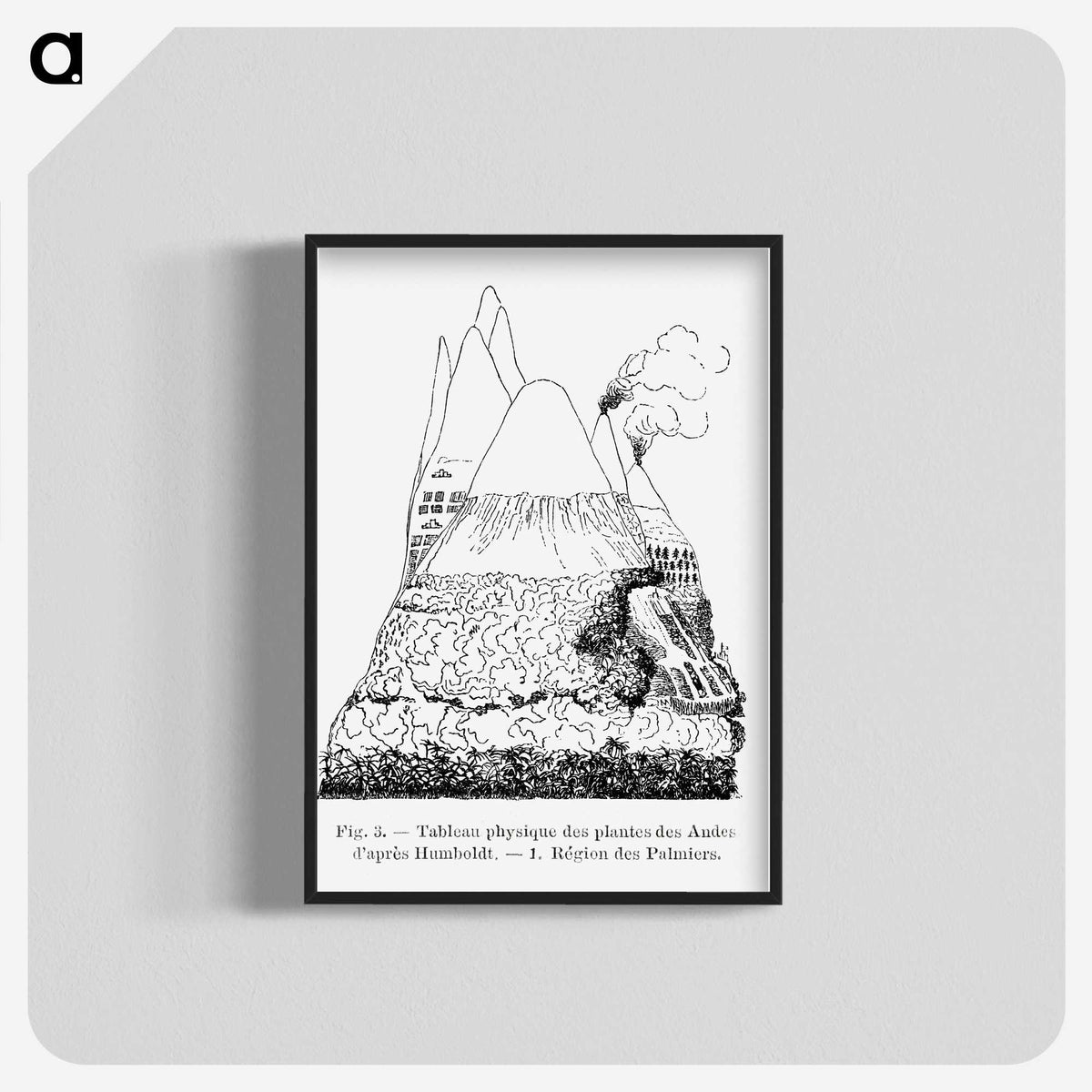 2-31_Les-Palmiers-Histoire-Iconographique_blk-crop