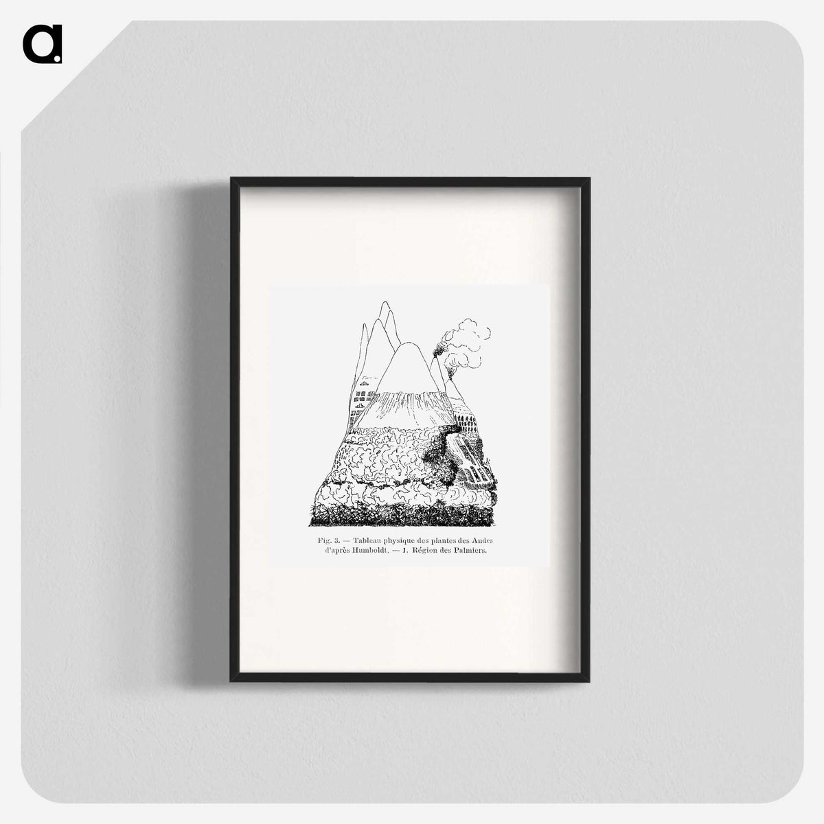 2-31_Les-Palmiers-Histoire-Iconographique_blk