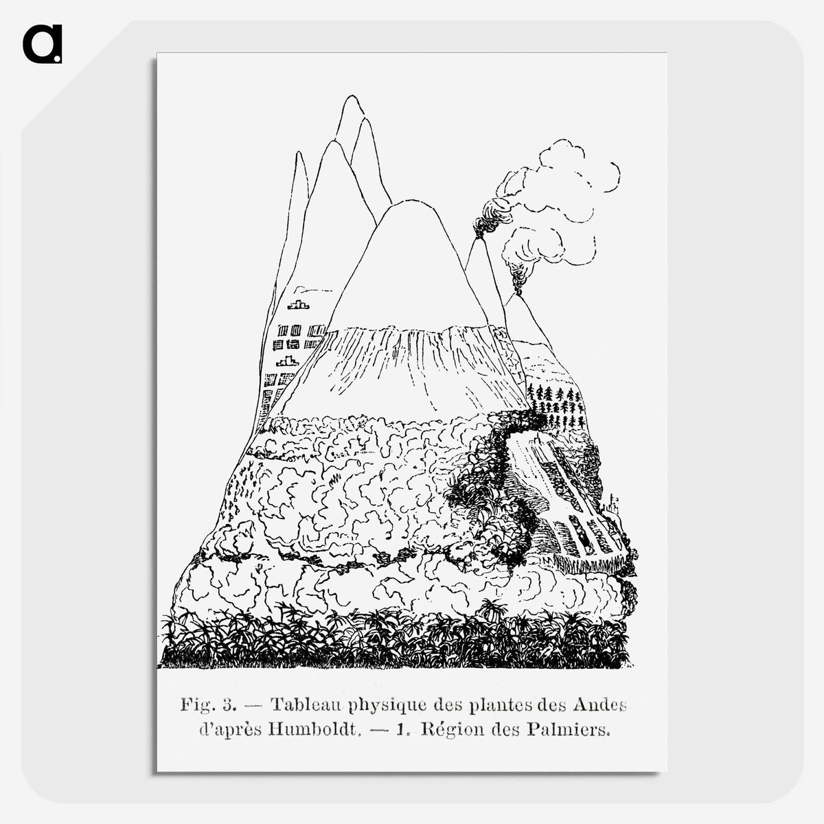 2-31_Les-Palmiers-Histoire-Iconographique_picture-crop