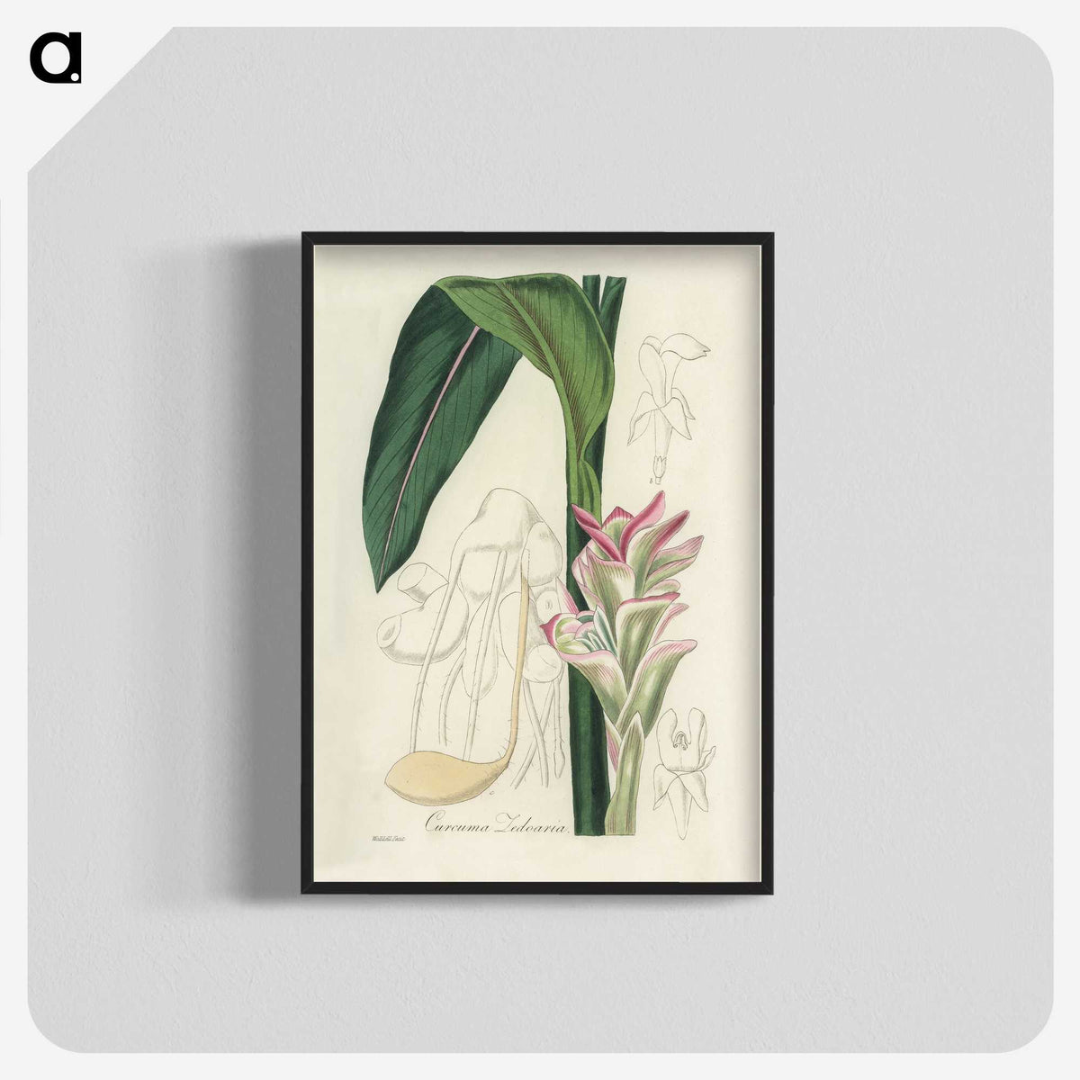 2-31_Medical-Botany_blk-crop