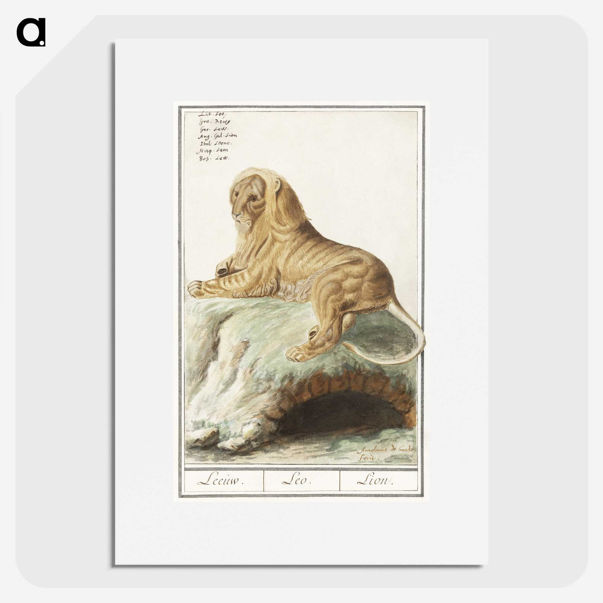 2-32_Anselmus-Boetius-de-Boodt_picture