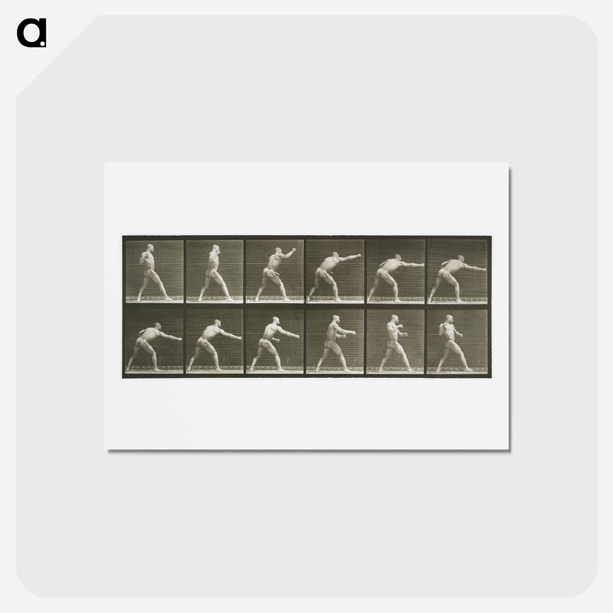 アートポストカード-Striking a Blow
- エドワード マイブリッジ Postcard.