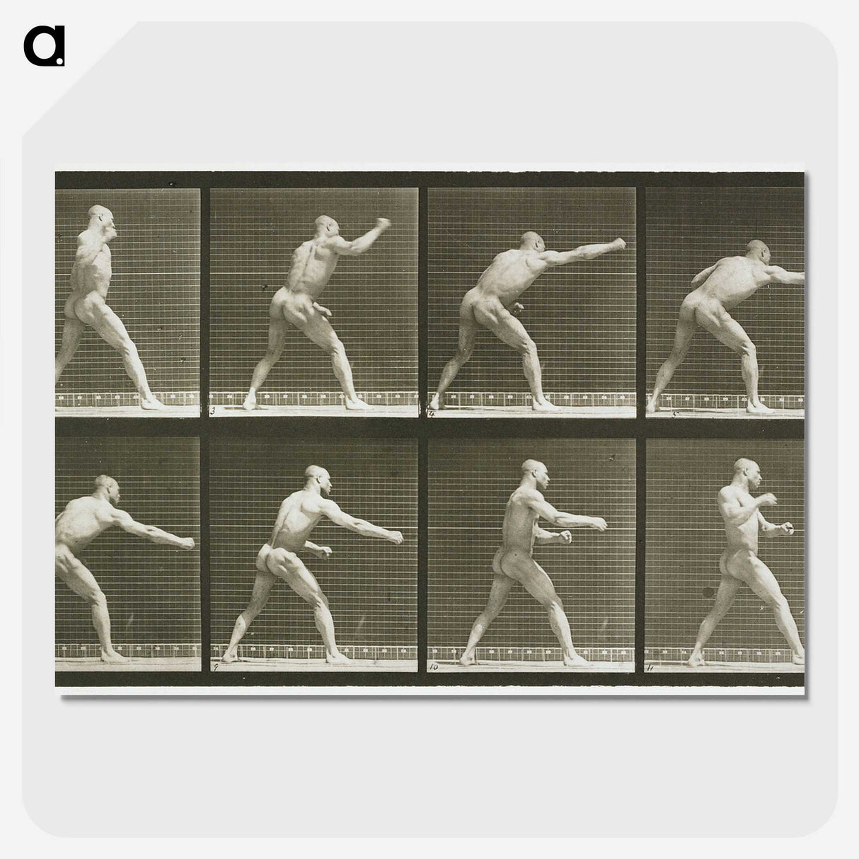 2-32_Eadweard-Muybridge_picture-crop