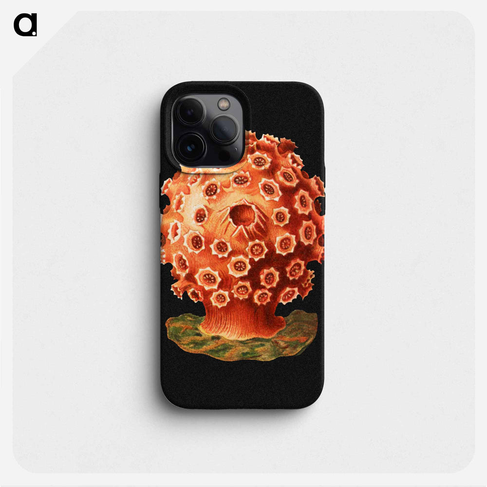 Colorful vintage tunicate marine life illustration - エルンスト ヘッケル Phone Case.
