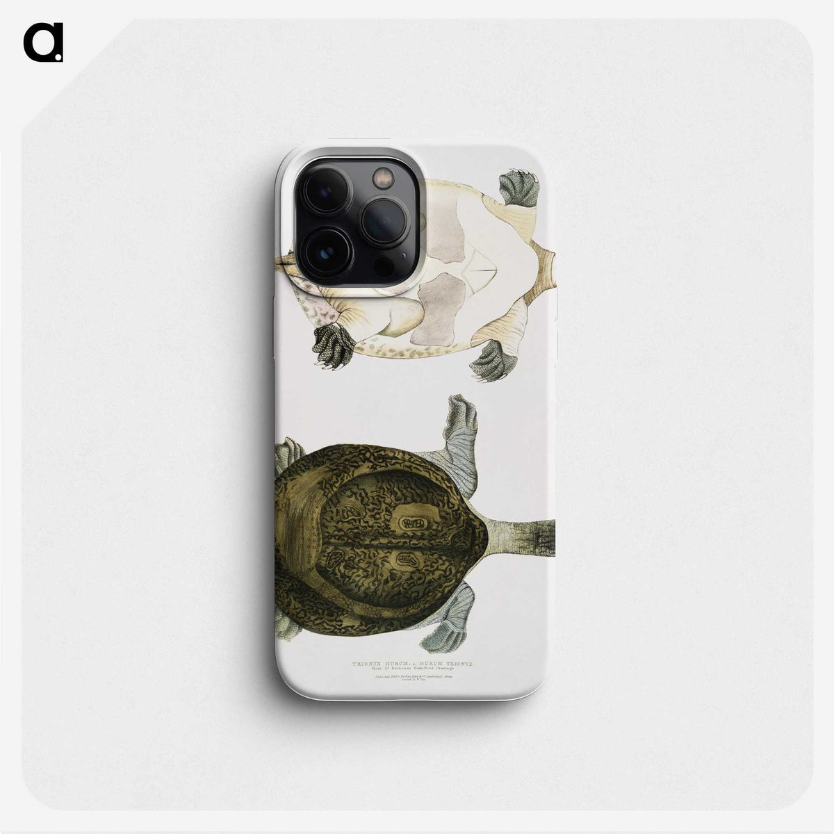 2-32_Indian-Zoology_phone