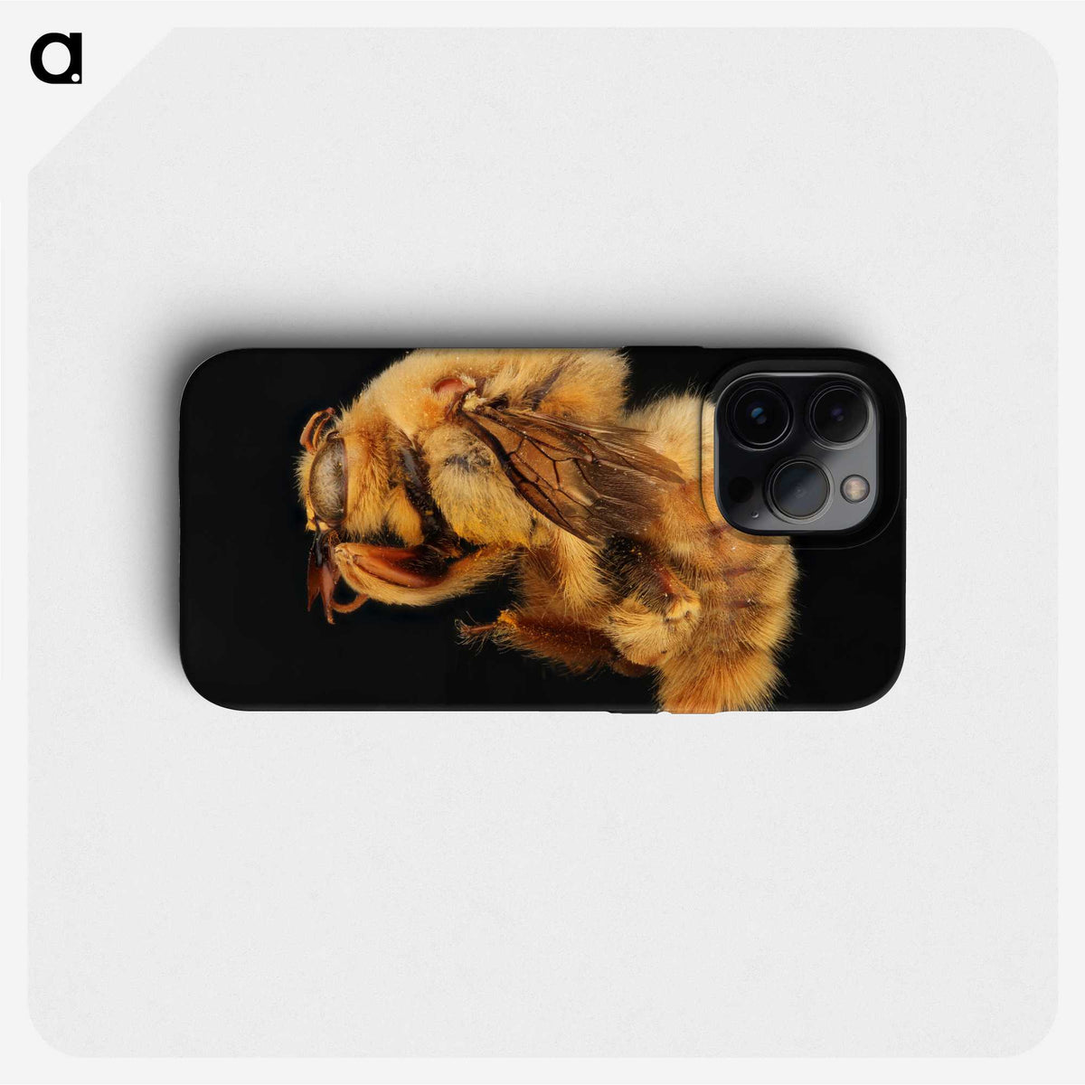 2-32_Insects-Unlocked-Project_phone