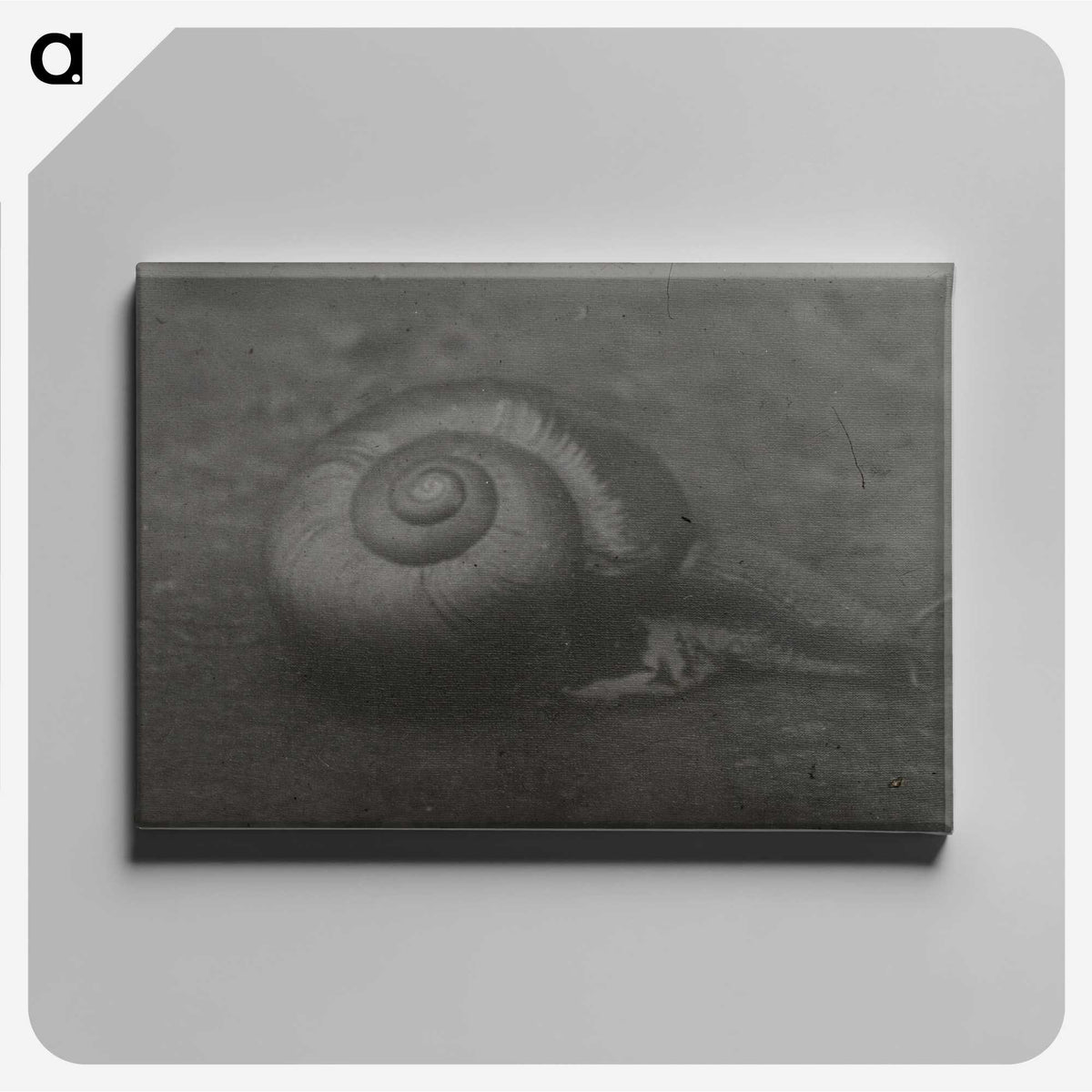 2-32_Leslie-Adkin_canvas