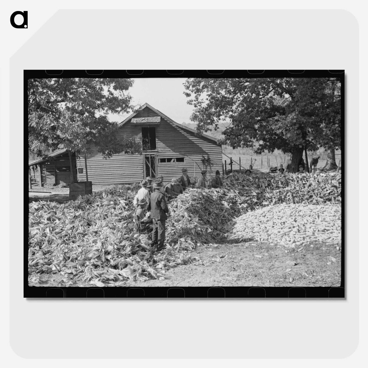 2-32_Marion-Post-Wolcott_picture-crop