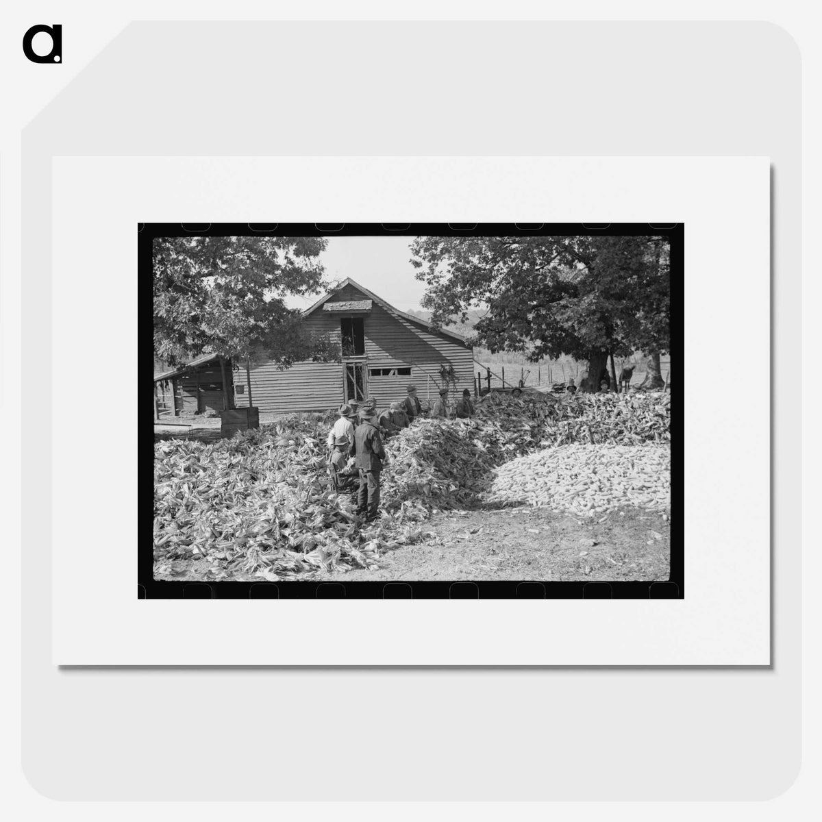2-32_Marion-Post-Wolcott_picture
