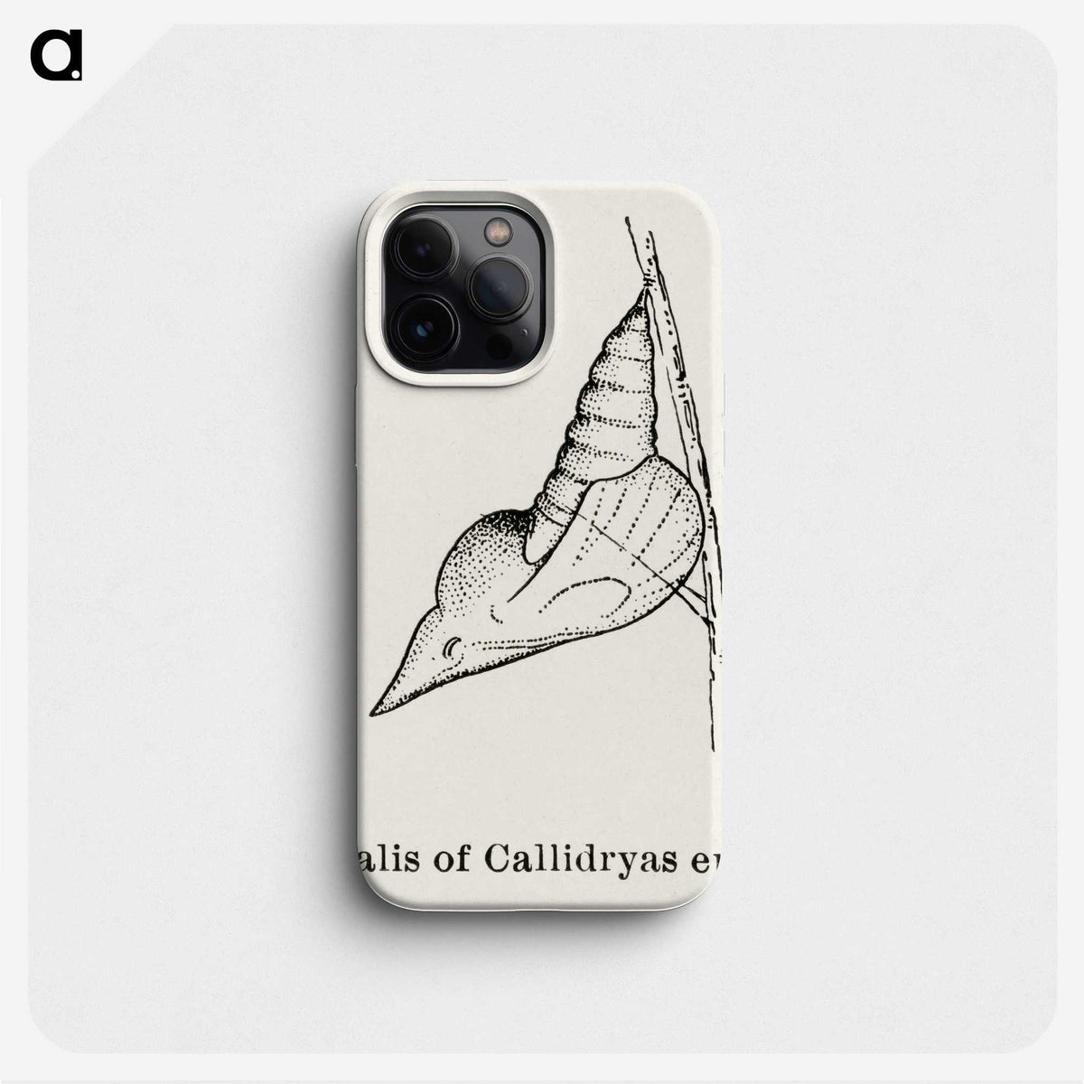 2-32_Moths-and-Butterflies-of-the-United-States_phone