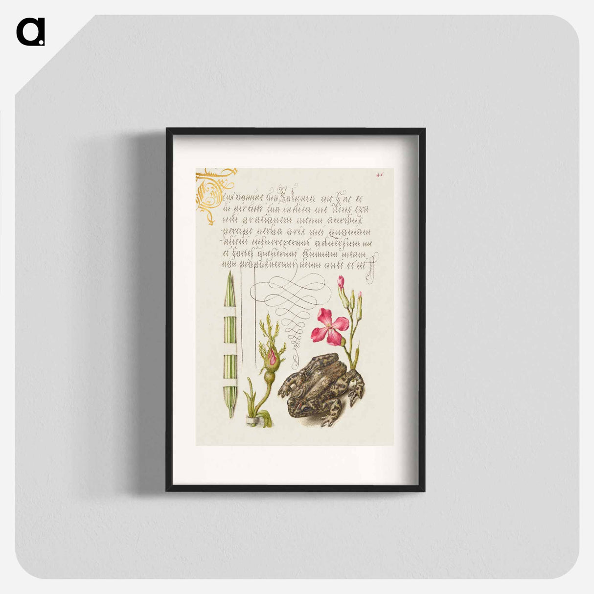 アートポスター-Reed Grass, French Rose, Toad, and Gilly Flower
- 書道のお手本 Poster.
