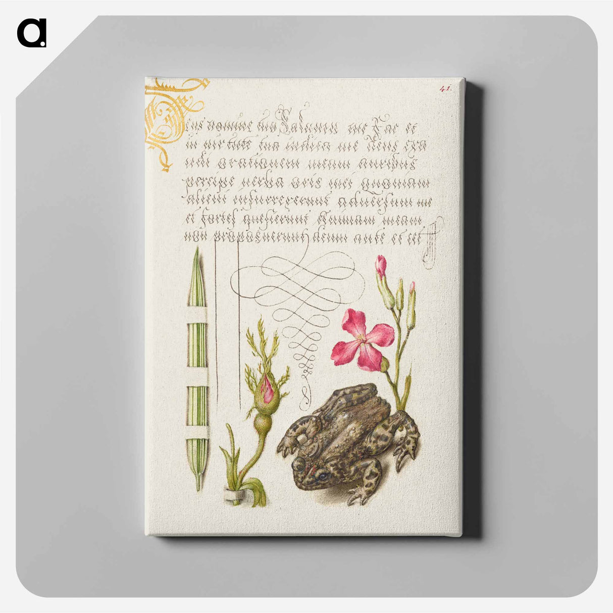 アートパネル-Reed Grass, French Rose, Toad, and Gilly Flower
- 書道のお手本 Canvas.