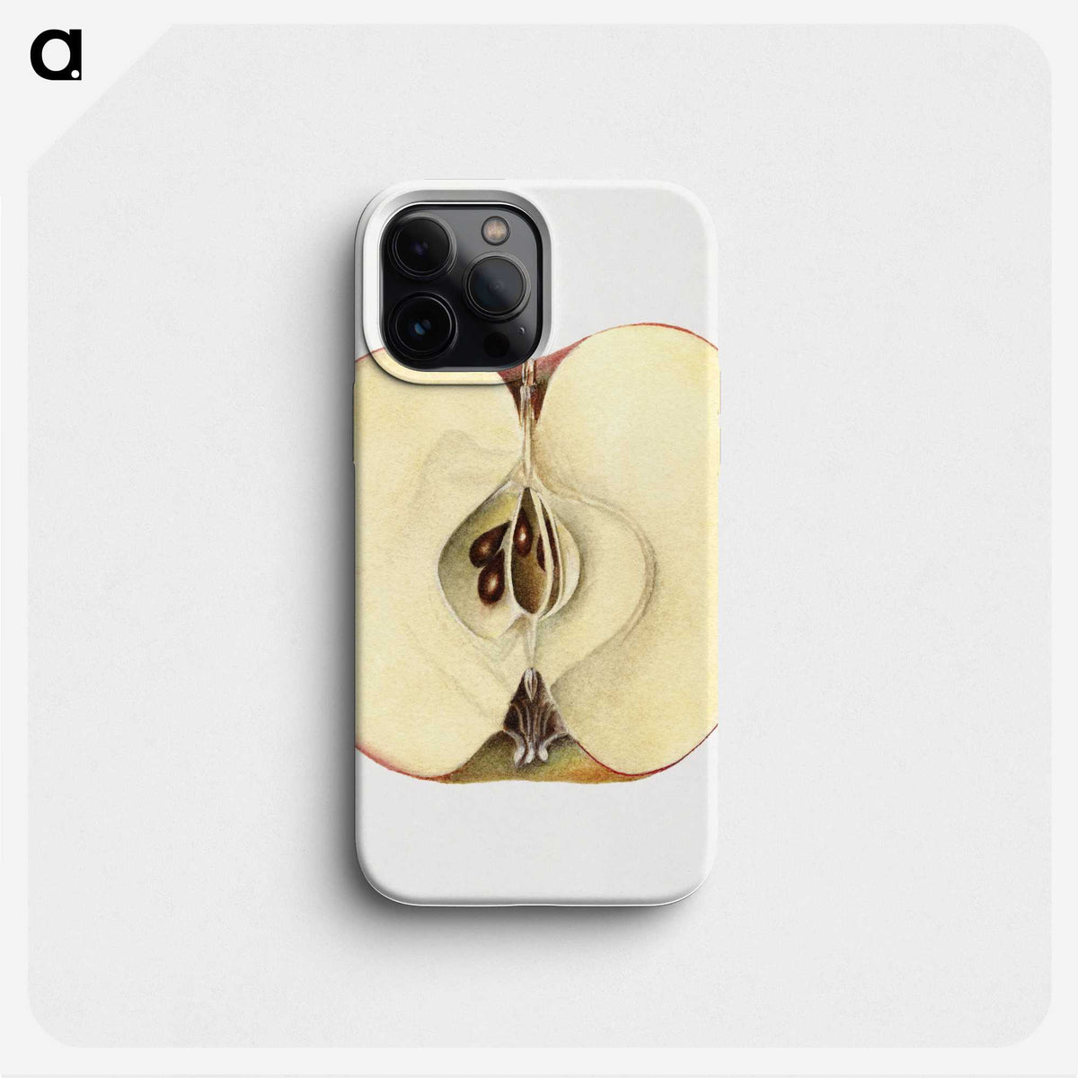 2-32_USDA-Watercolor-Fruit-Painting-Collection_phone
