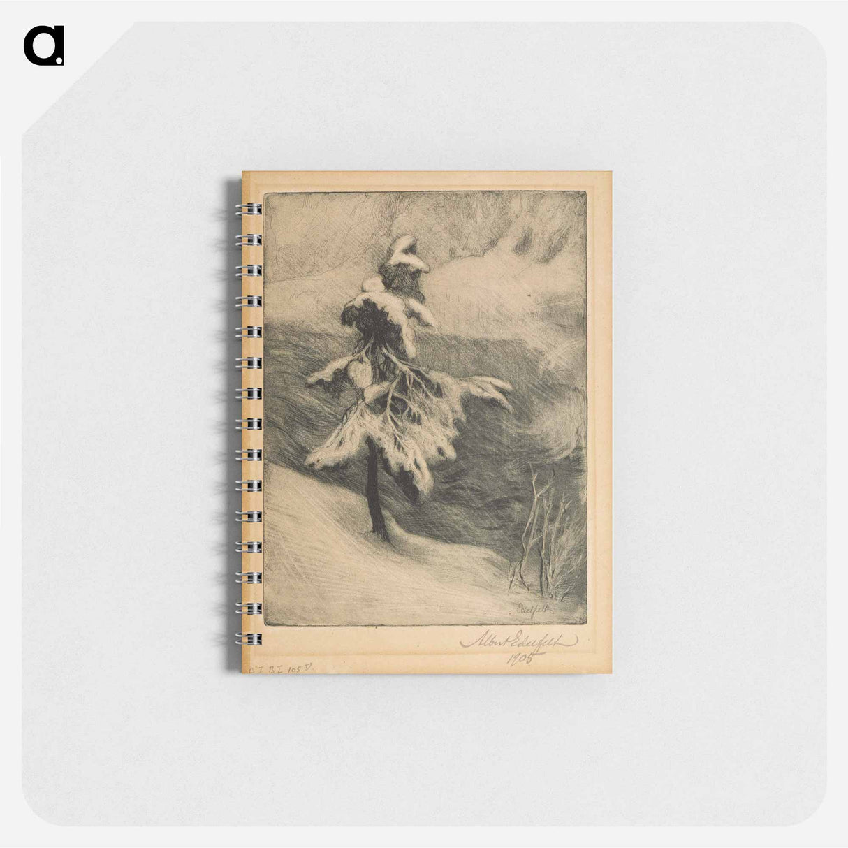 Imatra rapids in winter - アルバート エーデルフェルト Memo.