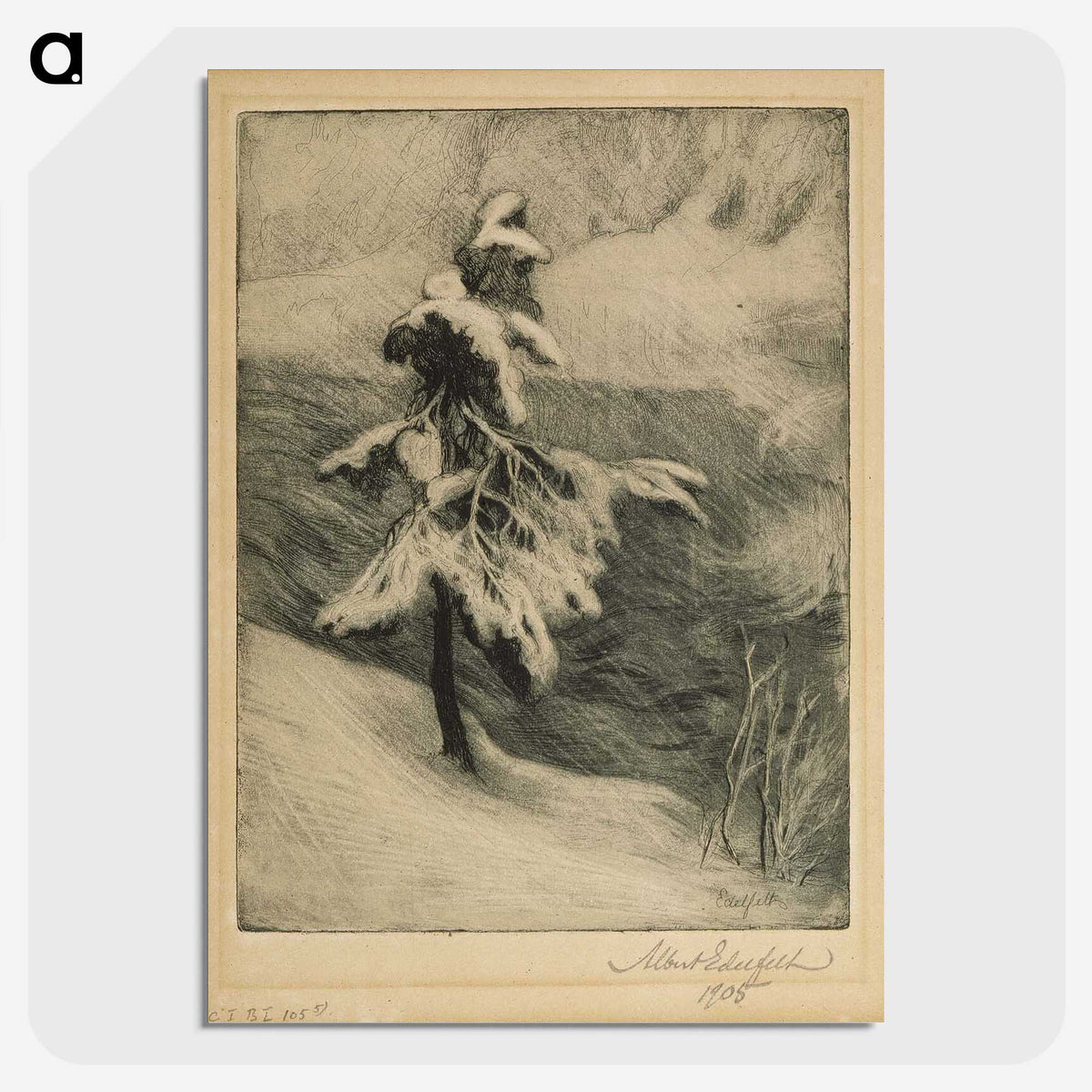 2-33_Albert-Edelfelt_picture-crop