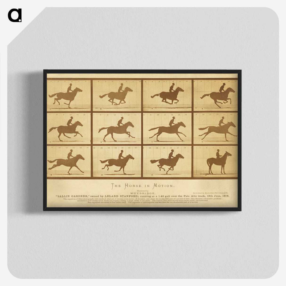 2-33_Eadweard-Muybridge_blk-crop