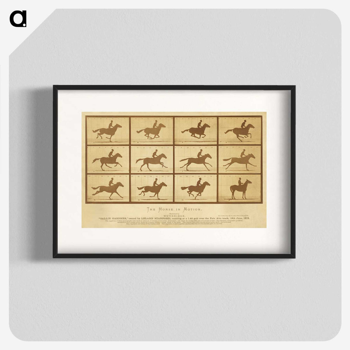 2-33_Eadweard-Muybridge_blk