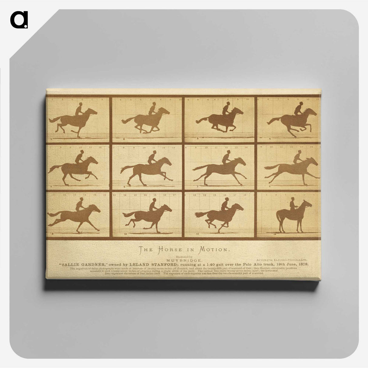 2-33_Eadweard-Muybridge_canvas