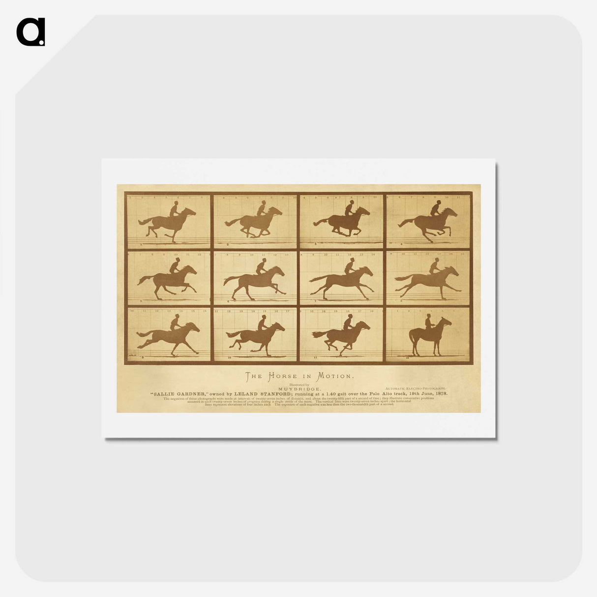 2-33_Eadweard-Muybridge_hagaki