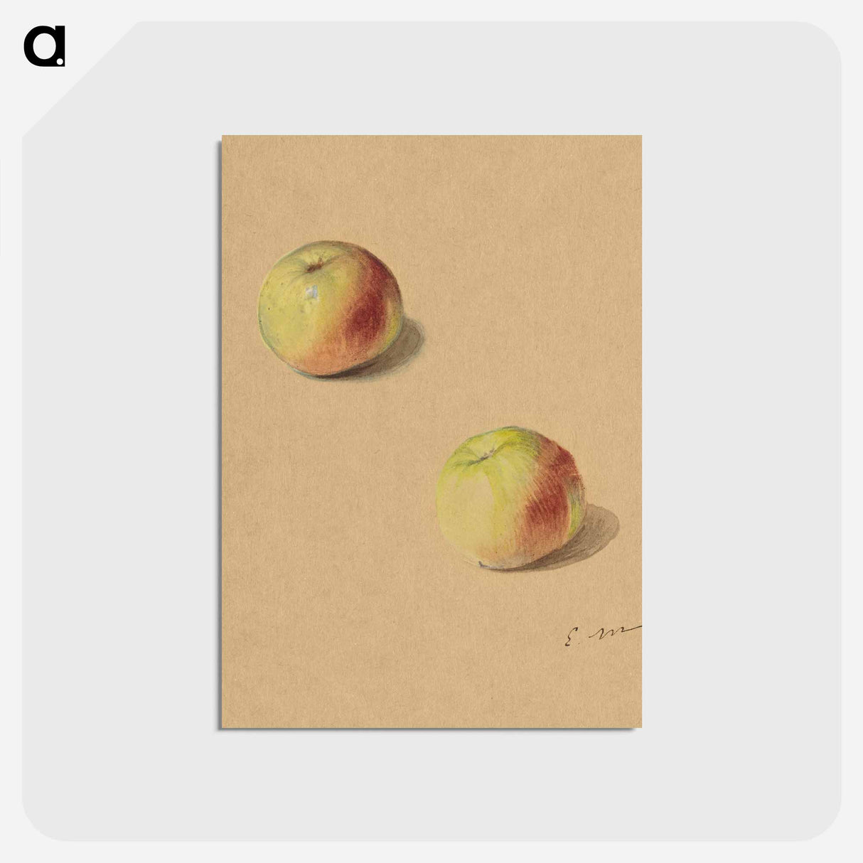 アートポストカード-Two Apples - エドゥアール マネ Postcard.
