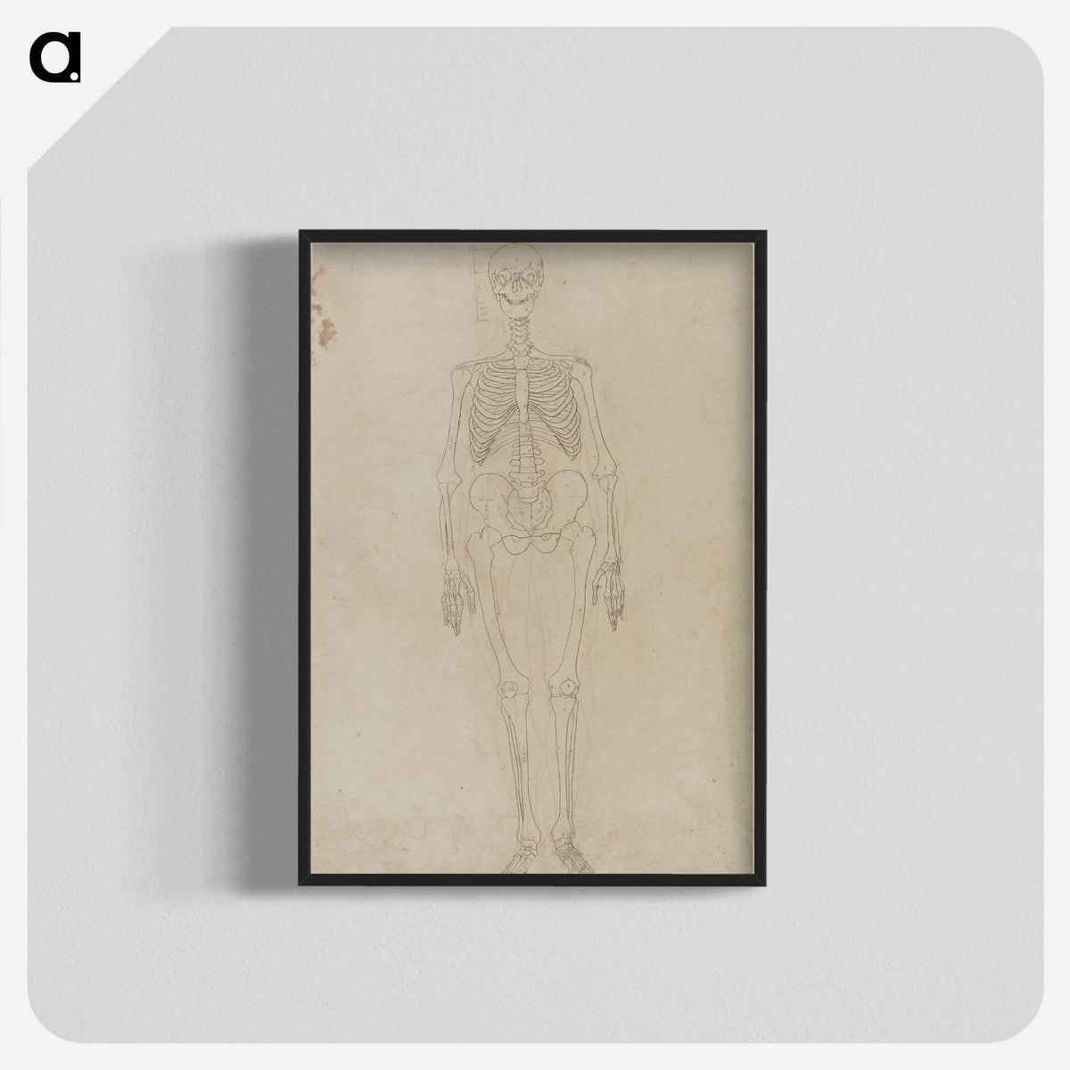 2-33_George-Stubbs_blk-crop